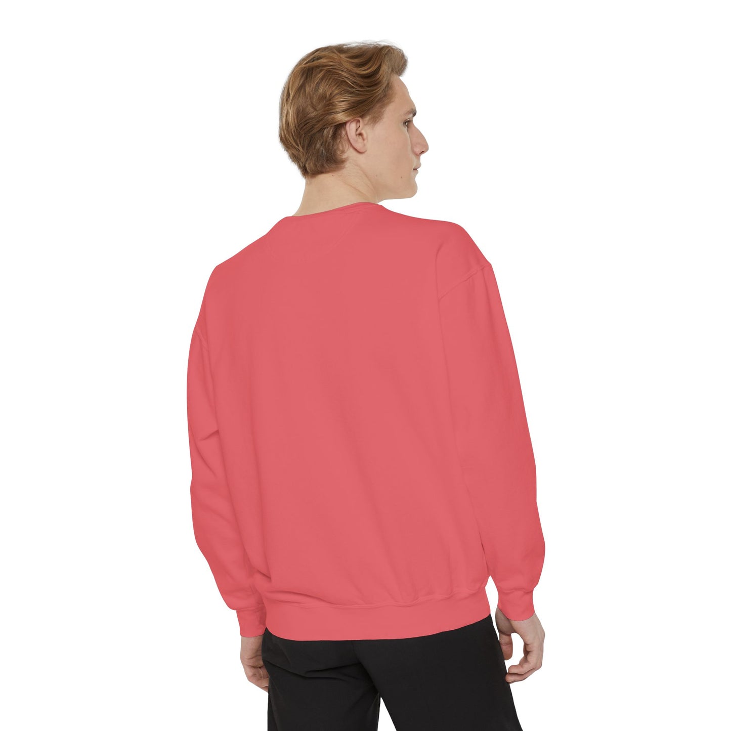 Velaris Starlight Sweatshirt, Cozy Graphic Sweatshirt, Gift for Readers & ACOTAR Lovers, Festival Sweatshirt, Velaris City Of Starlight
