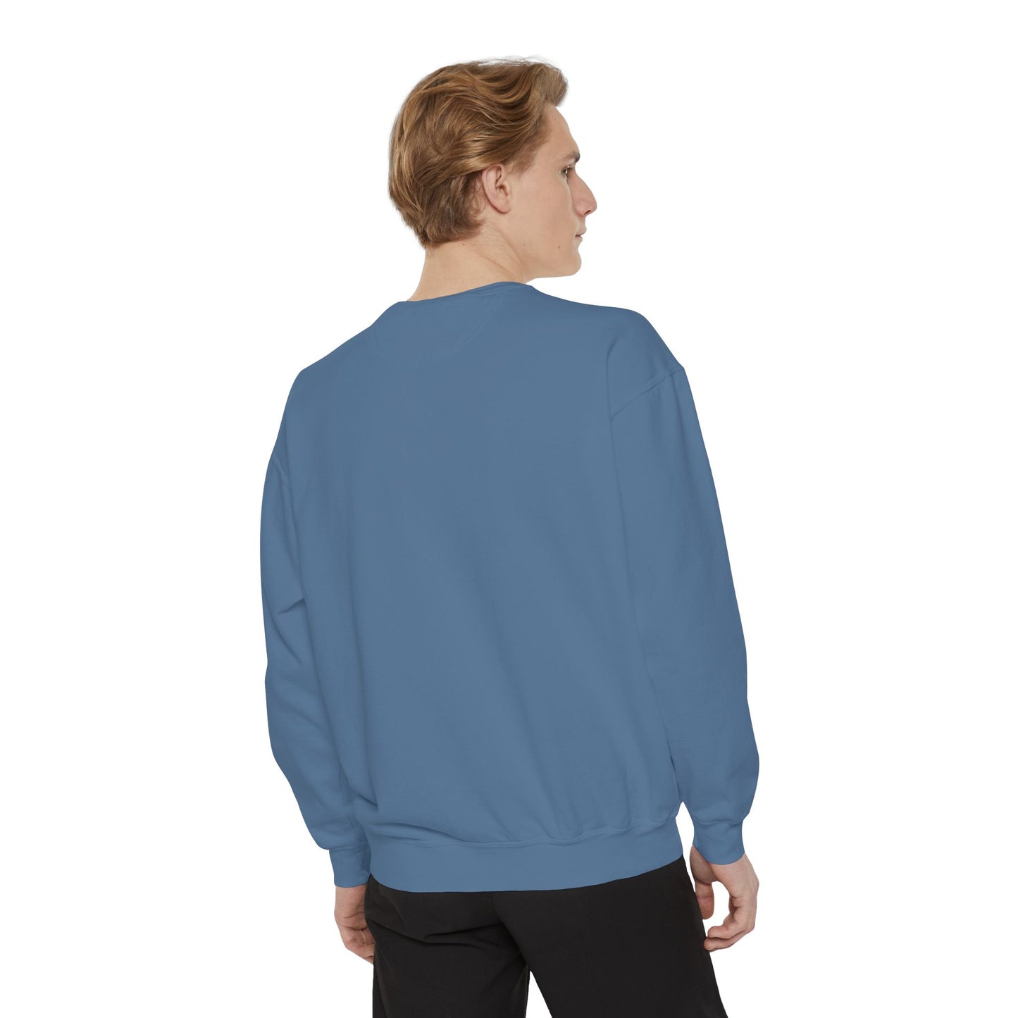 Velaris Starlight Sweatshirt, Cozy Graphic Sweatshirt, Gift for Readers & ACOTAR Lovers, Festival Sweatshirt, Velaris City Of Starlight