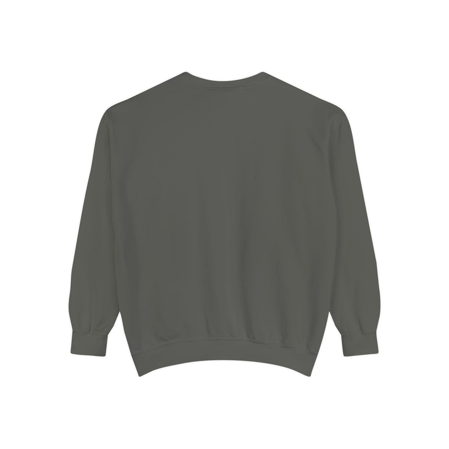 Velaris Starlight Sweatshirt, Cozy Graphic Sweatshirt, Gift for Readers & ACOTAR Lovers, Festival Sweatshirt, Velaris City Of Starlight