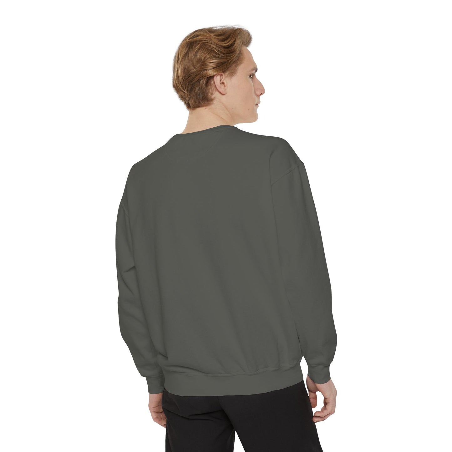 Velaris Starlight Sweatshirt, Cozy Graphic Sweatshirt, Gift for Readers & ACOTAR Lovers, Festival Sweatshirt, Velaris City Of Starlight