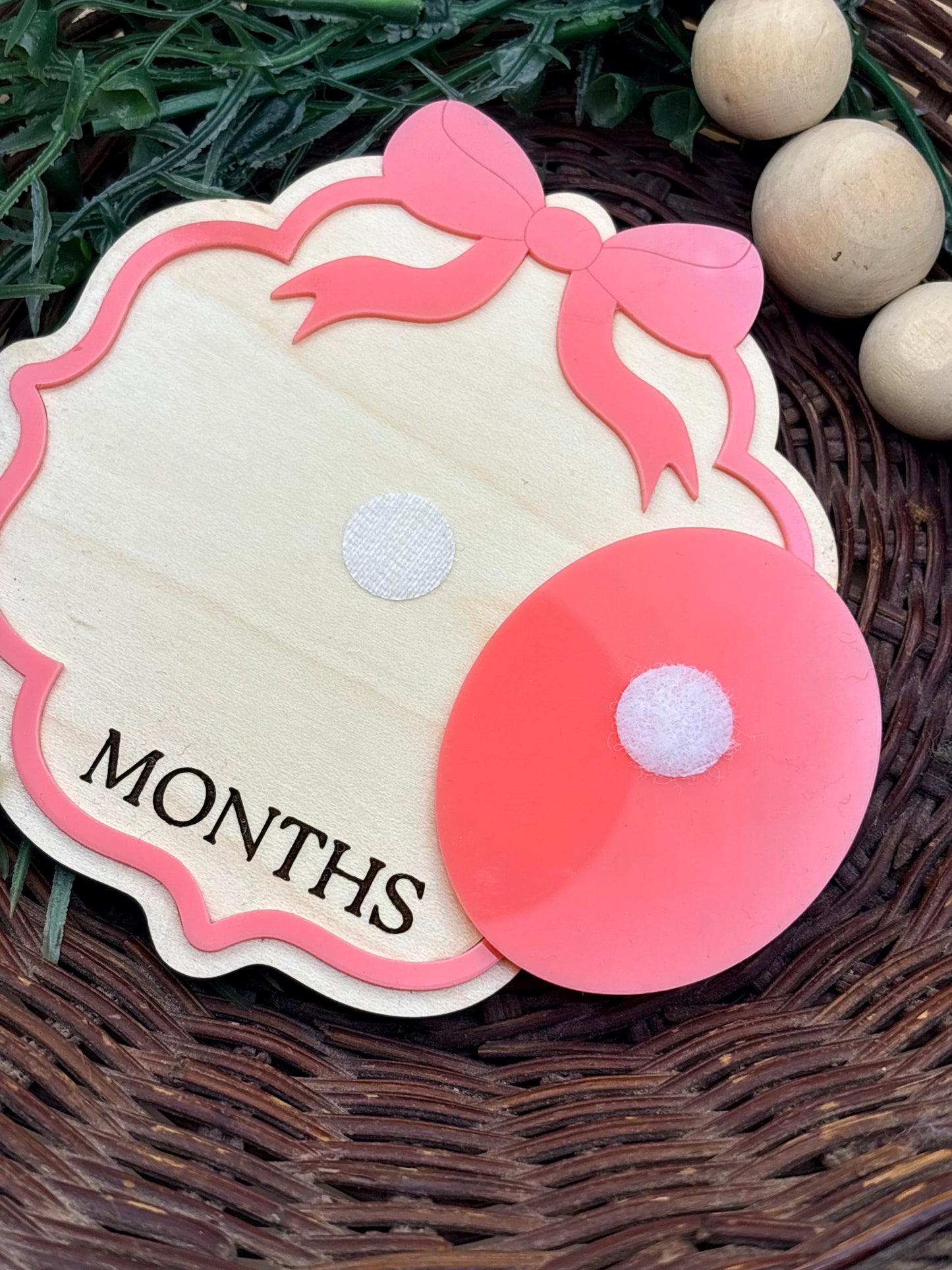 Vintage Bow Baby Milestone Signs/Plaques
