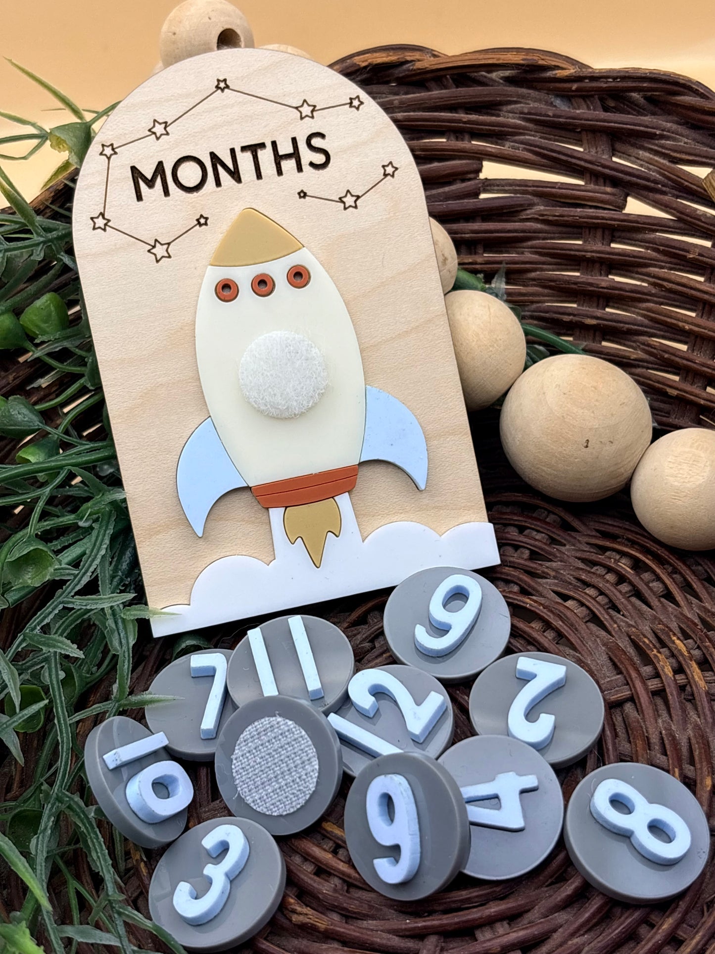 Spaceship Baby Monthly Milestone Signs/Plaques