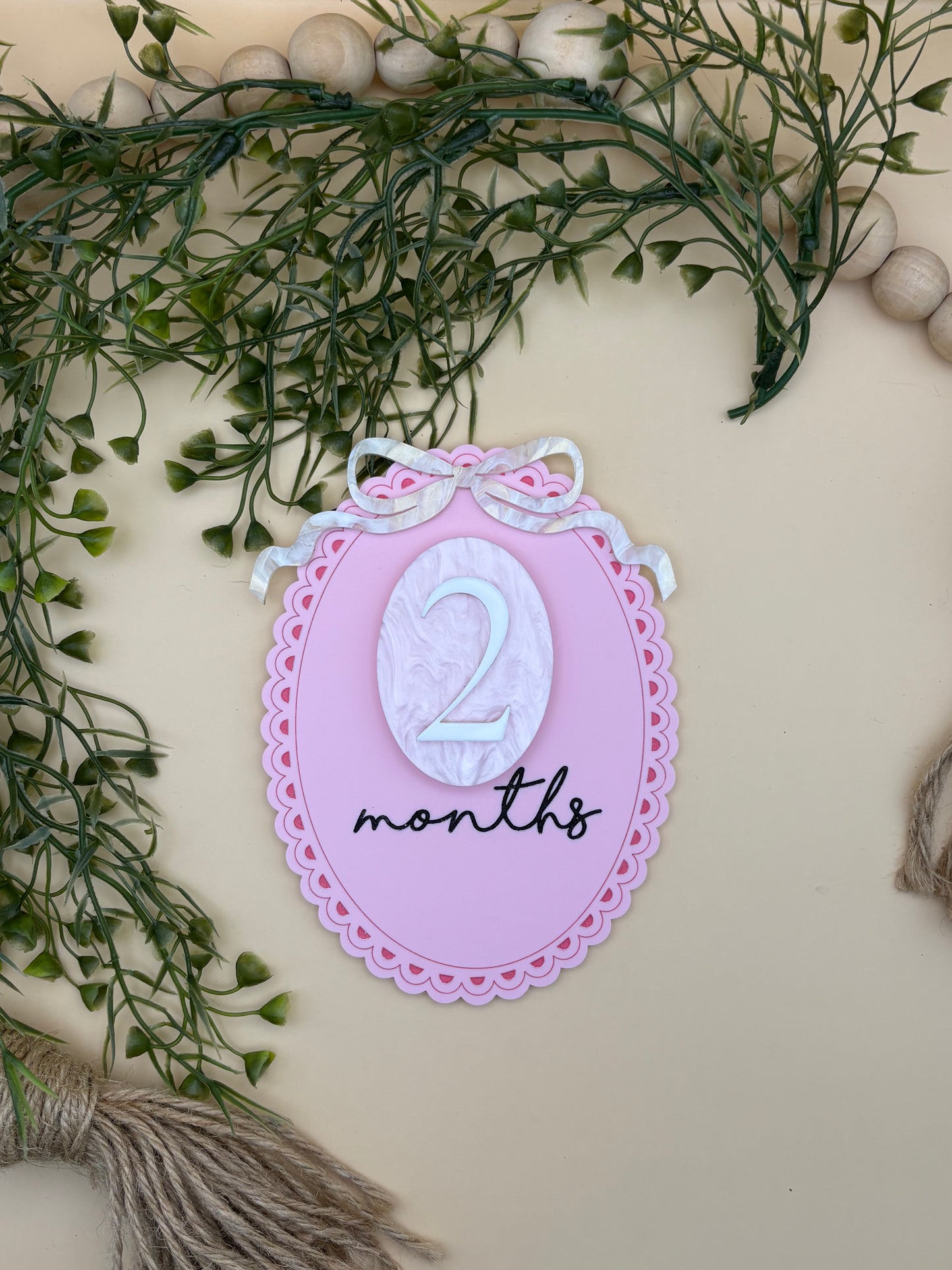 Pink Bow Baby Milestone Monthly Marker Sign Set