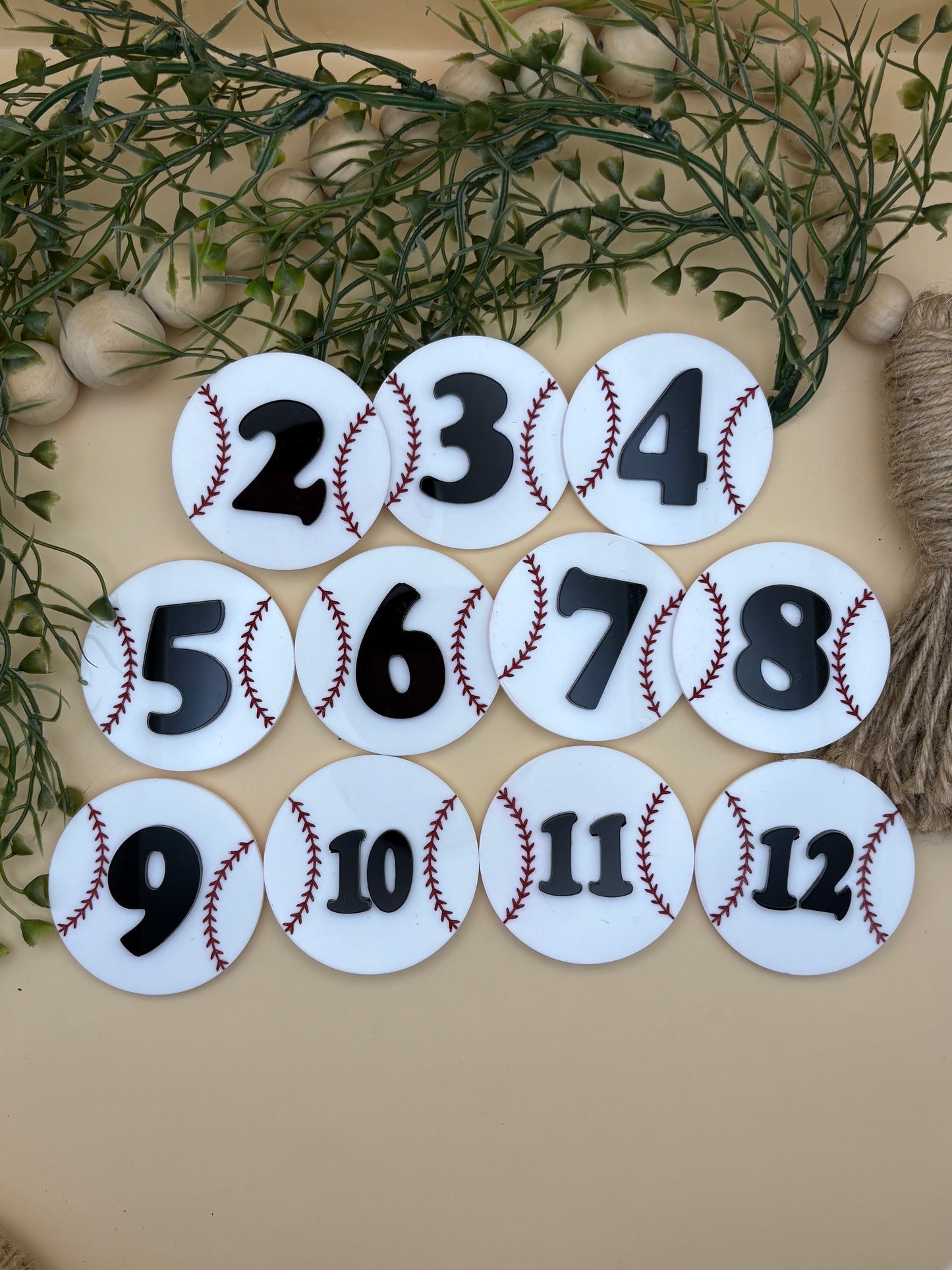 Baseball Baby Monthly Milestone Marker Sign Set