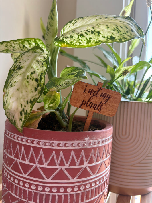 I Wet My Plants Plant Stake