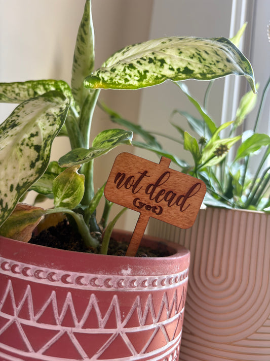 Not Dead (Yet) Plant Stake