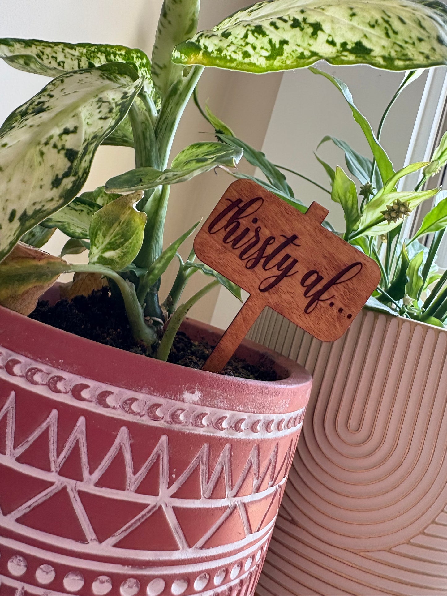 Thirsty Af... Plant Stake
