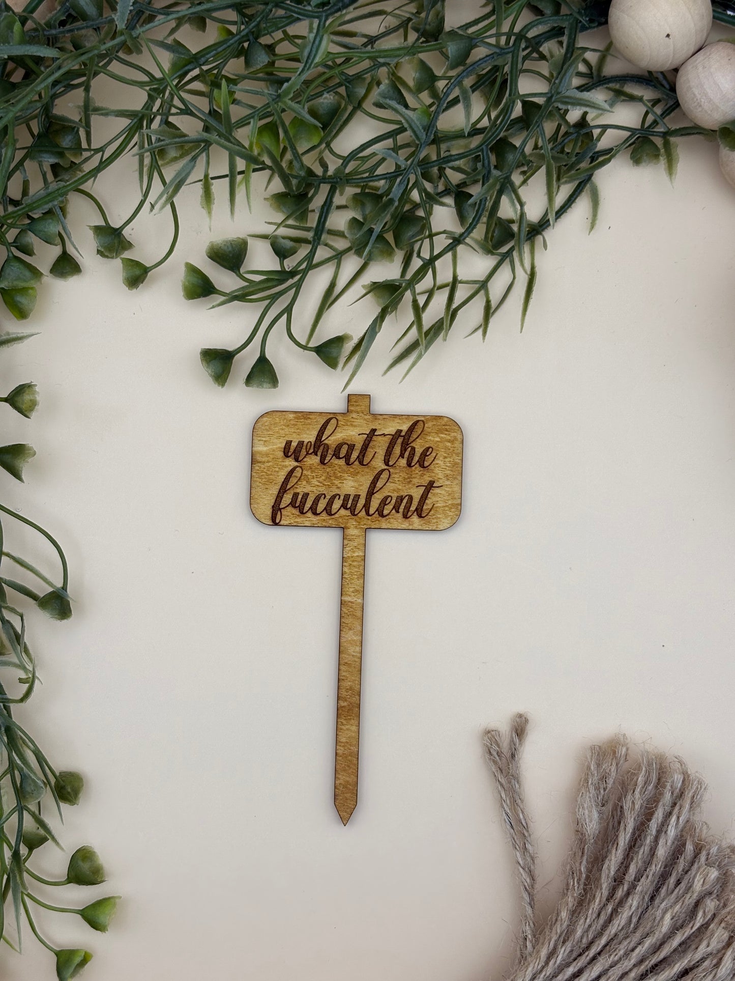 What The Fucculent Plant Stake