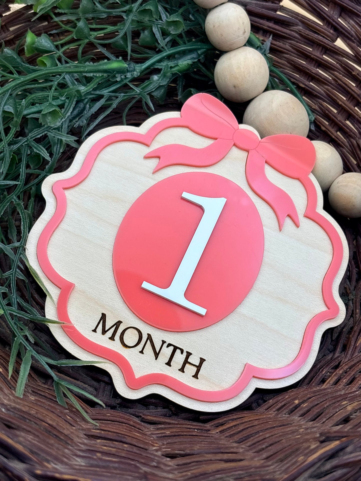 Vintage Bow Baby Milestone Signs/Plaques