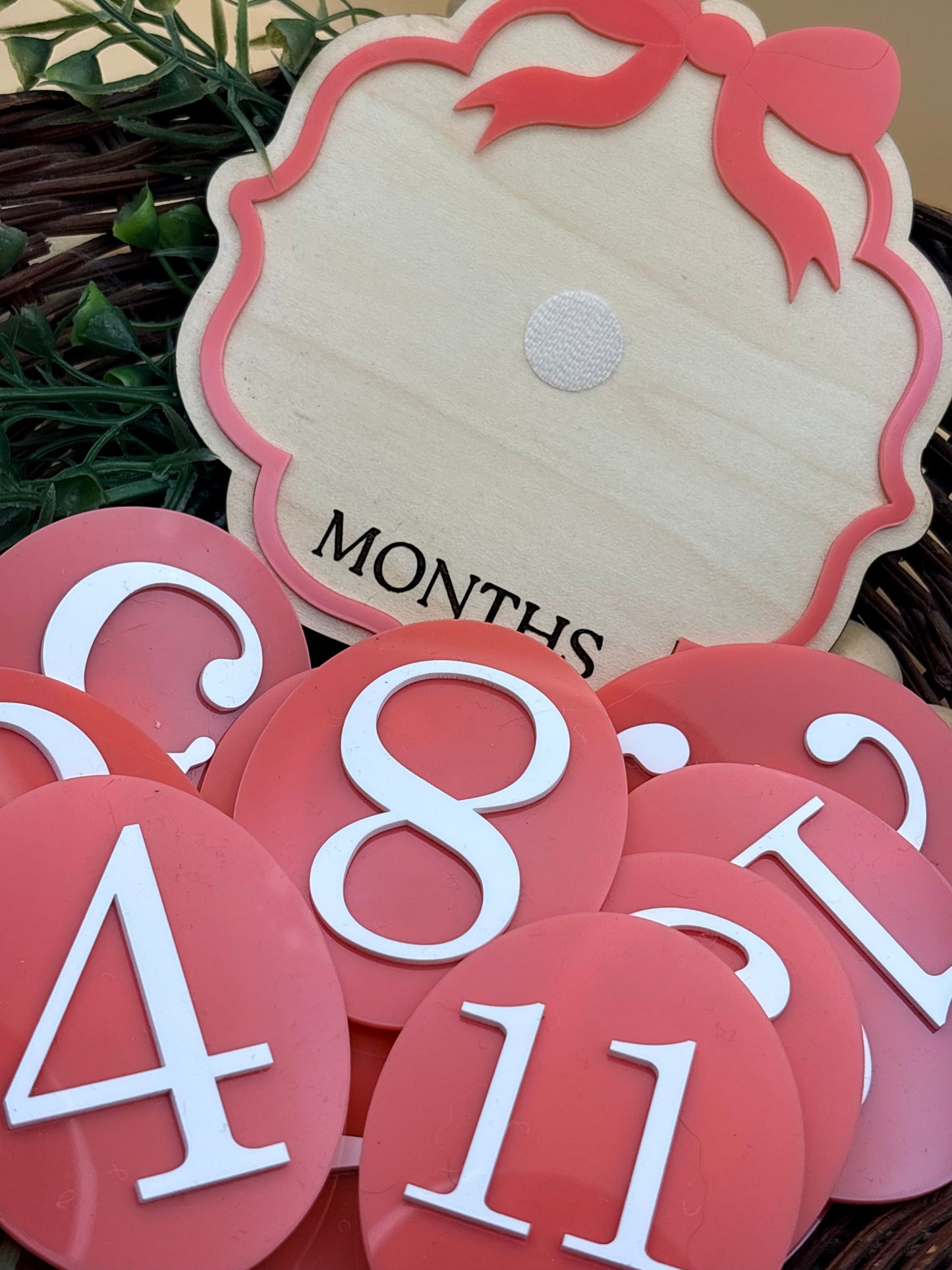 Vintage Bow Baby Milestone Signs/Plaques