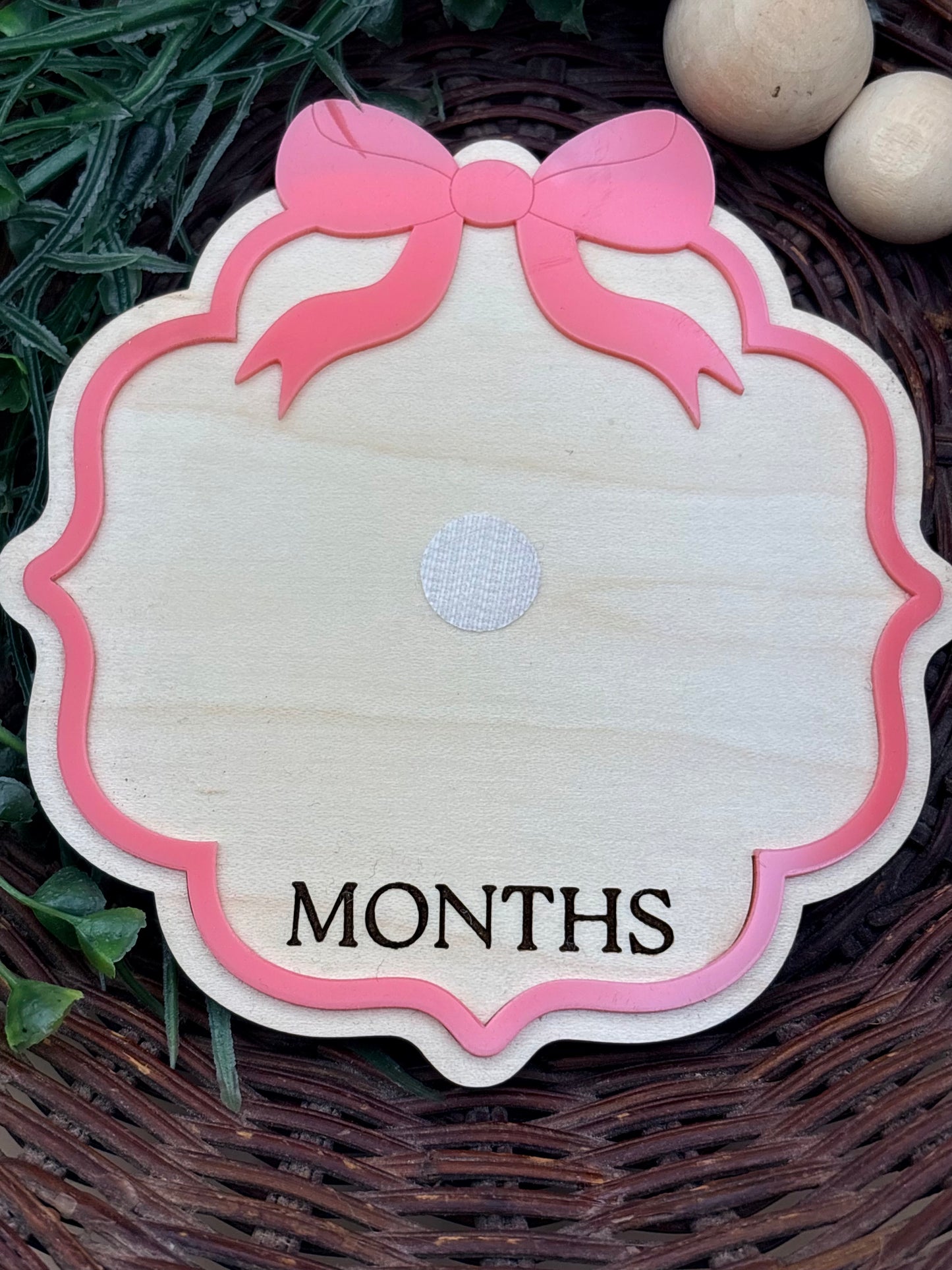 Vintage Bow Baby Milestone Signs/Plaques
