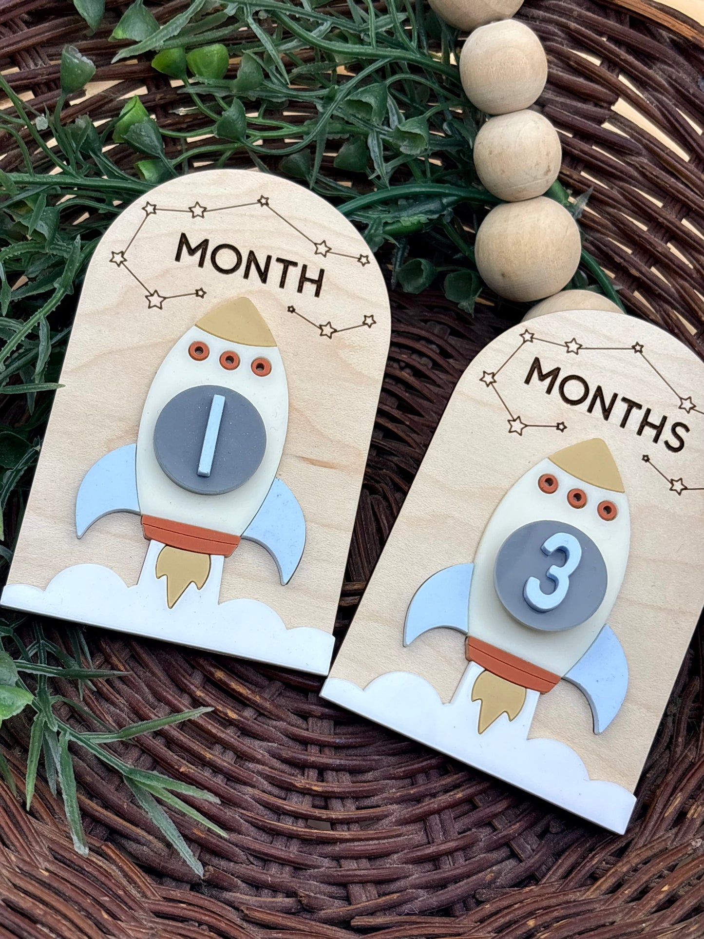 Spaceship Baby Monthly Milestone Signs/Plaques