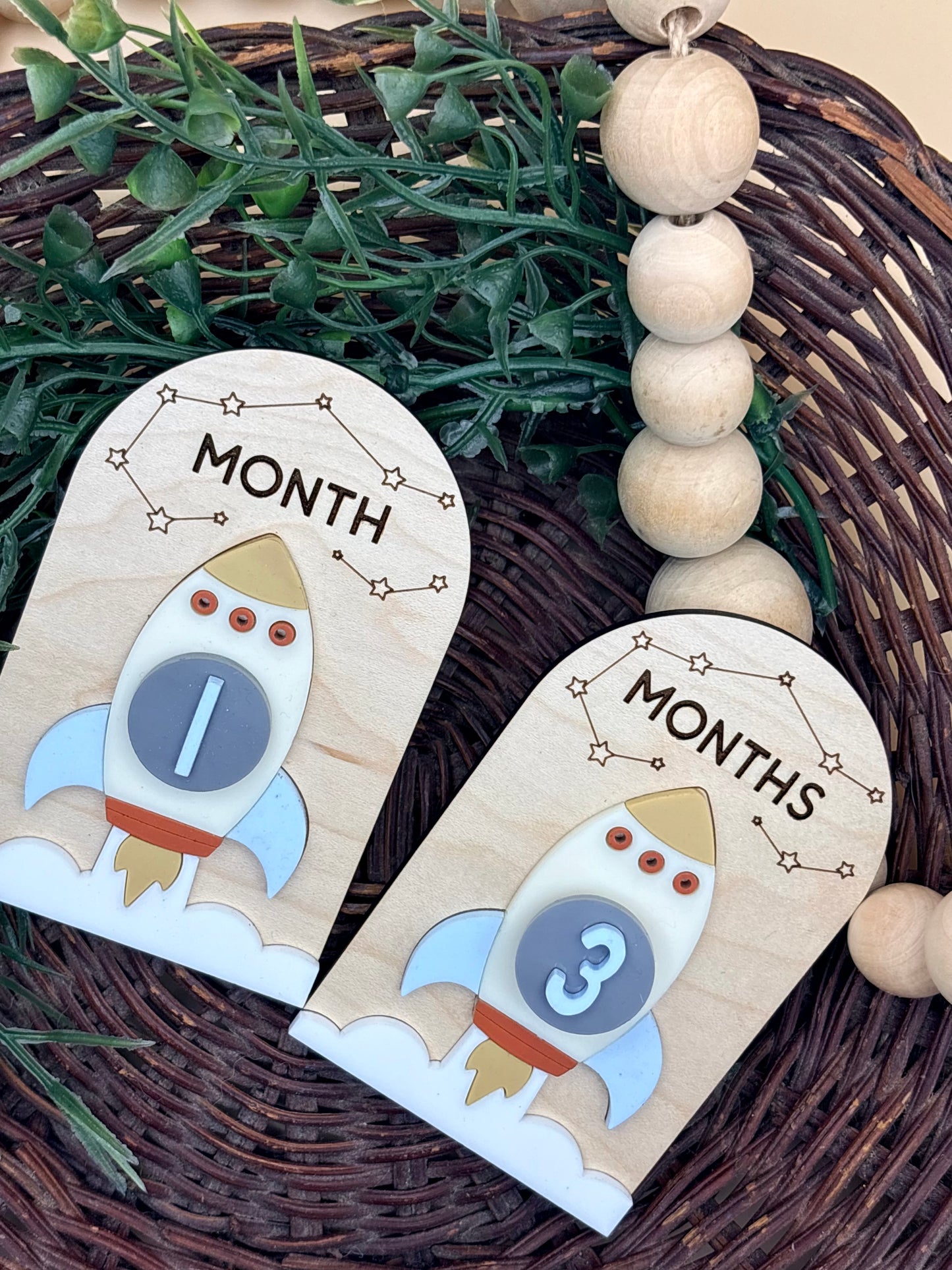 Spaceship Baby Monthly Milestone Signs/Plaques