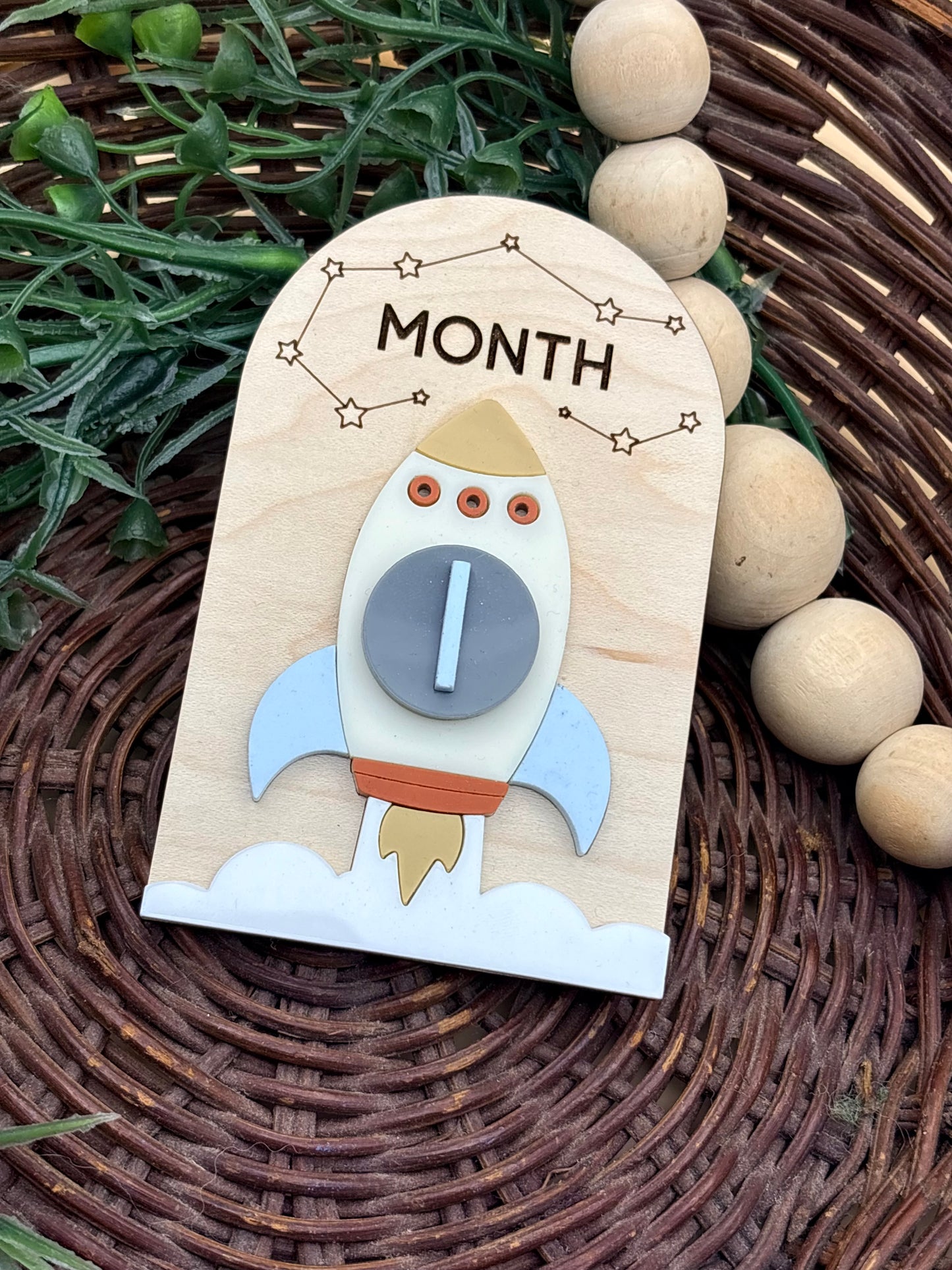 Spaceship Baby Monthly Milestone Signs/Plaques