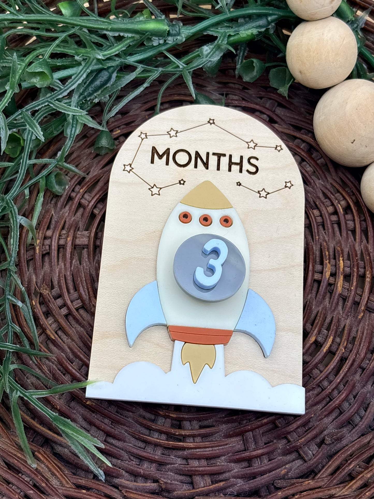 Spaceship Baby Monthly Milestone Signs/Plaques
