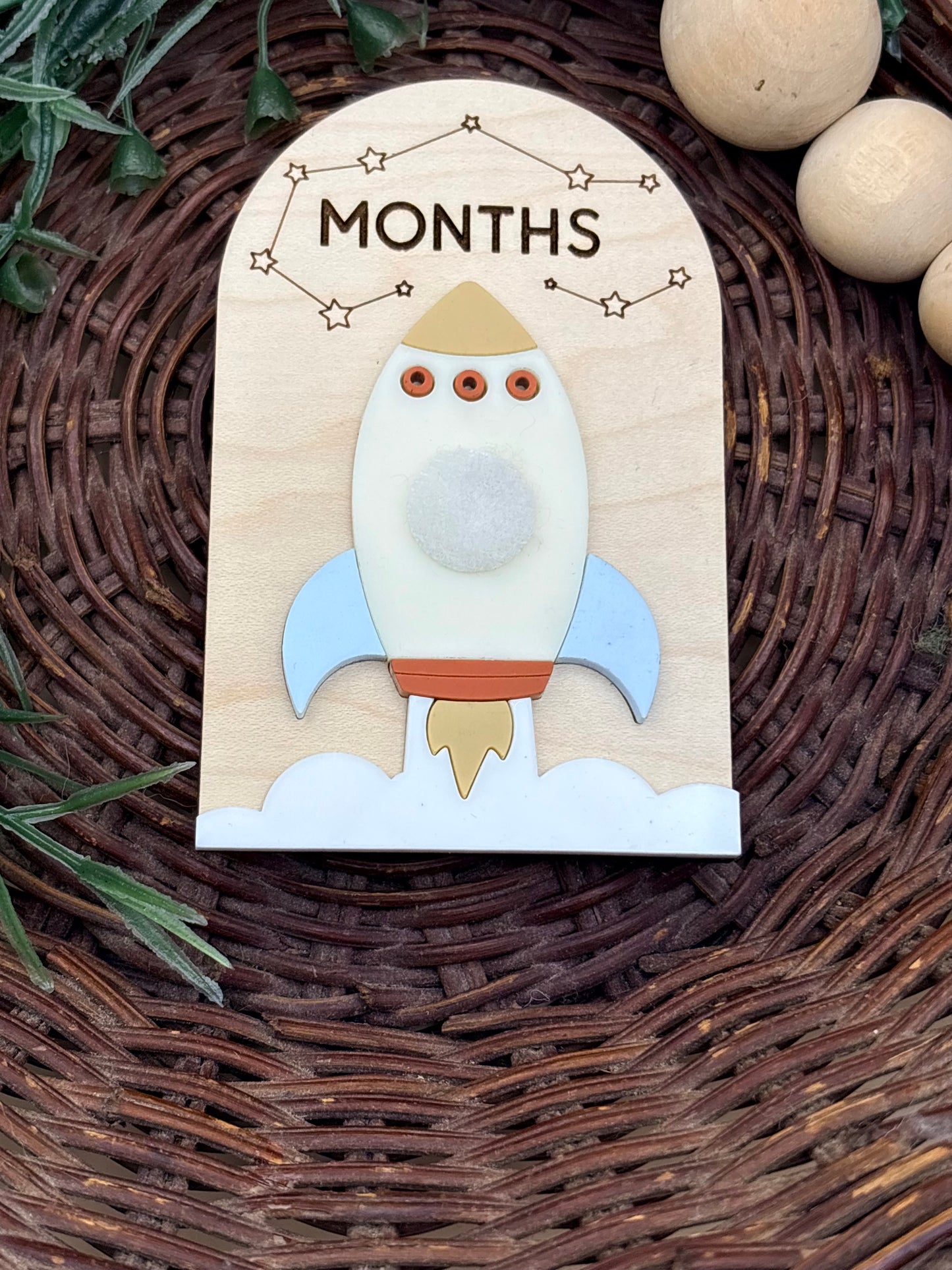 Spaceship Baby Monthly Milestone Signs/Plaques