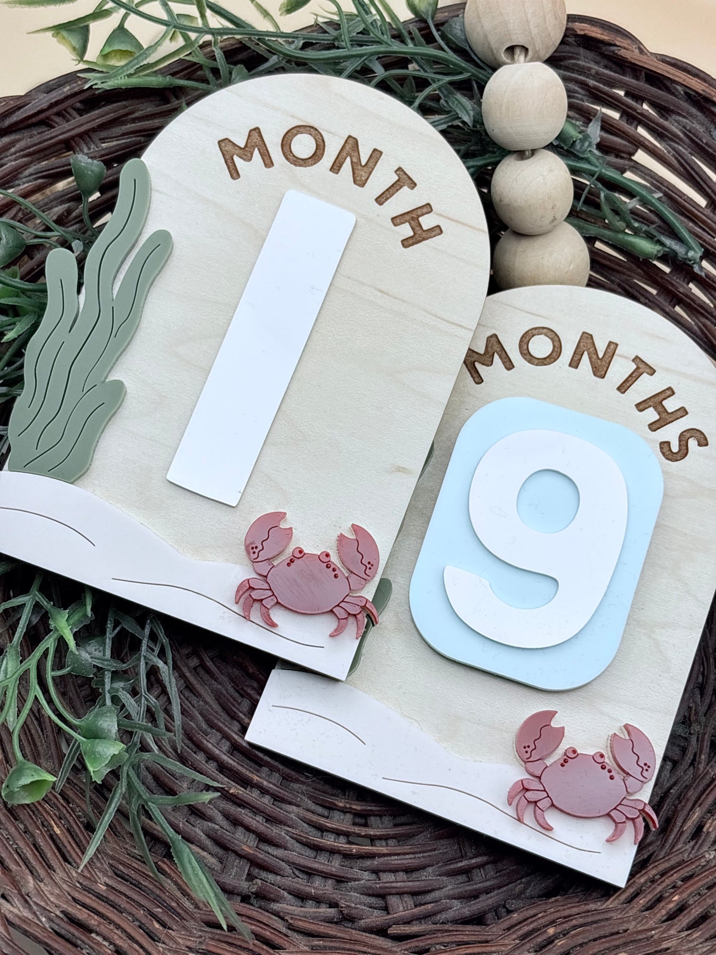 Under The Sea Monthly Baby Milestone Signs/Plaques