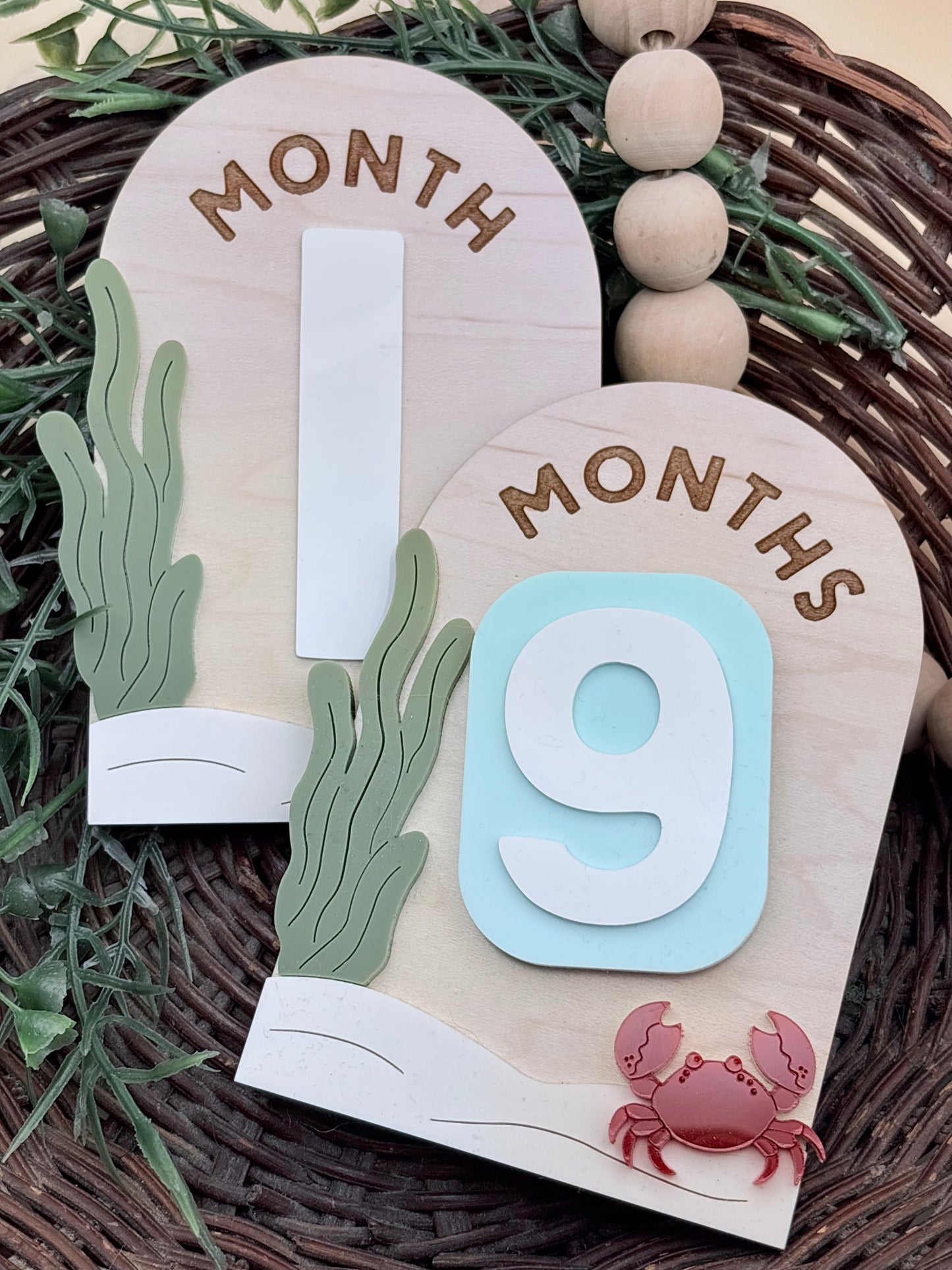 Under The Sea Monthly Baby Milestone Signs/Plaques