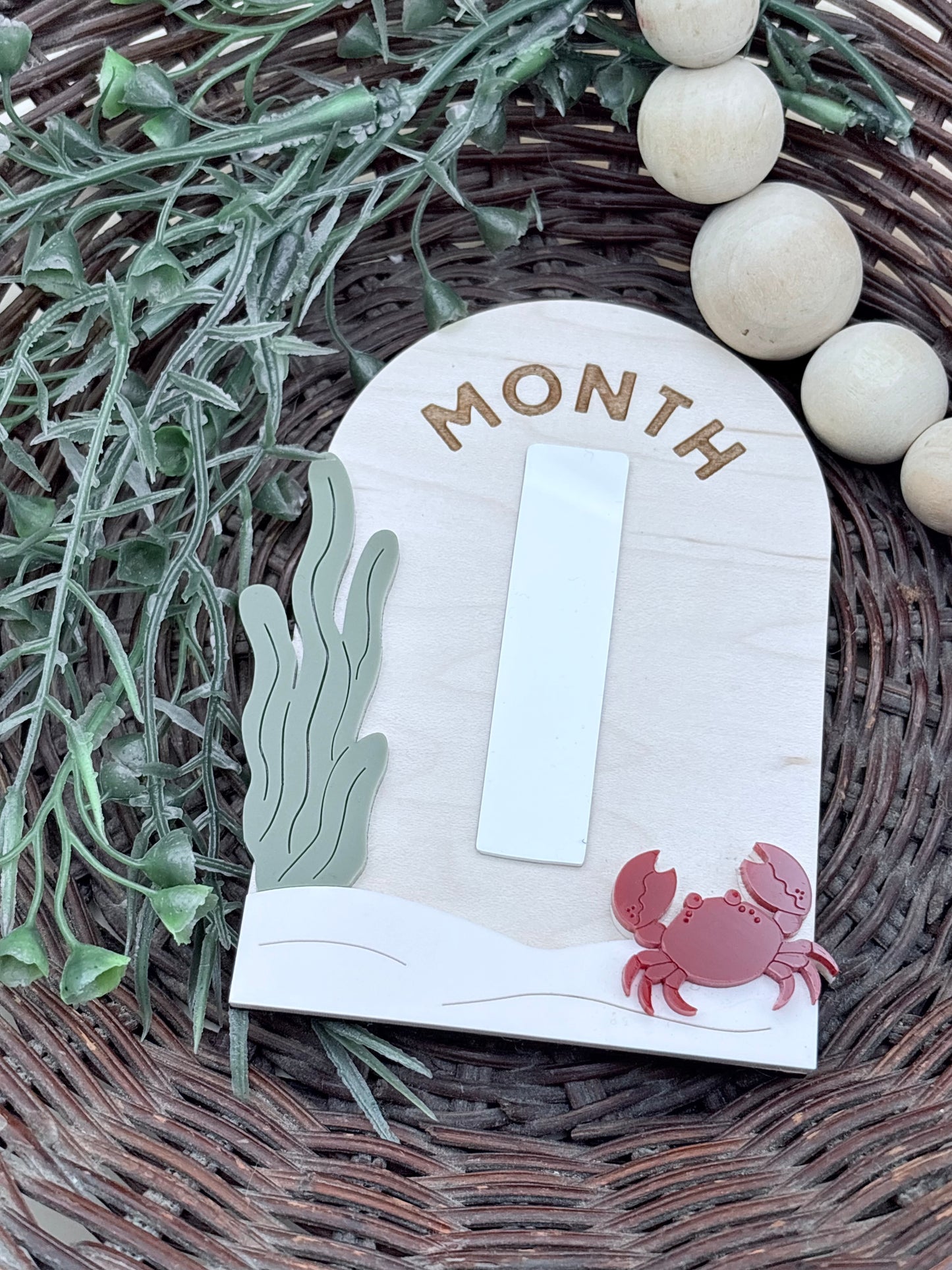 Under The Sea Monthly Baby Milestone Signs/Plaques