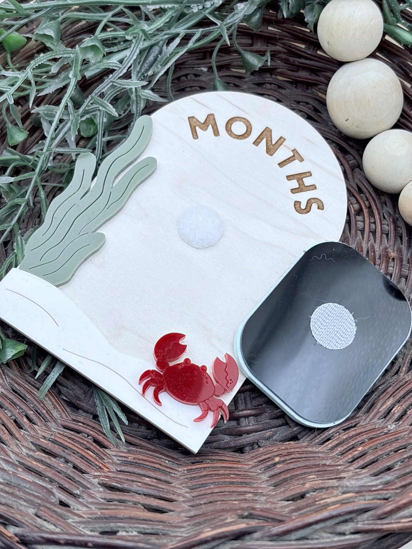 Under The Sea Monthly Baby Milestone Signs/Plaques