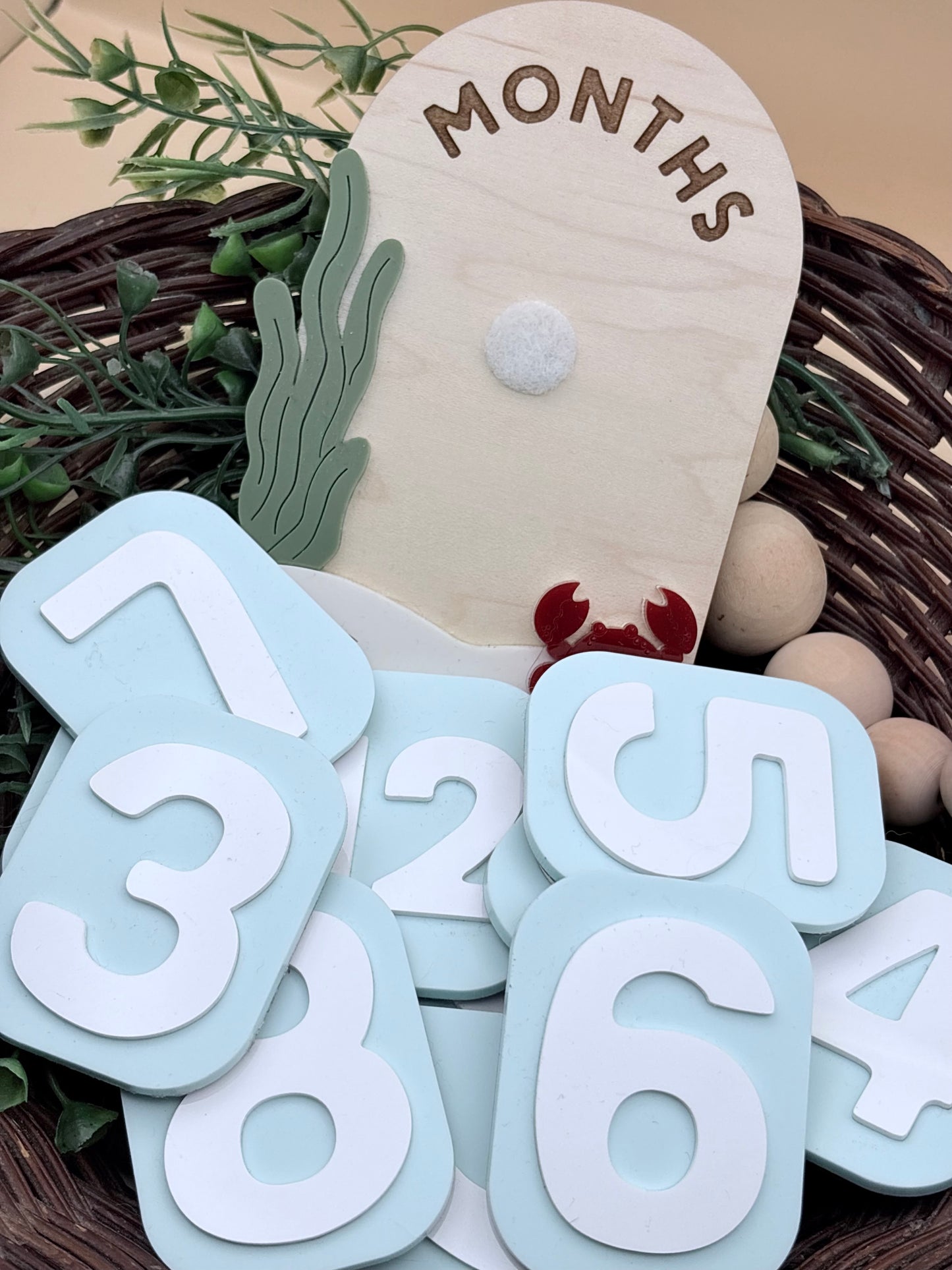 Under The Sea Monthly Baby Milestone Signs/Plaques