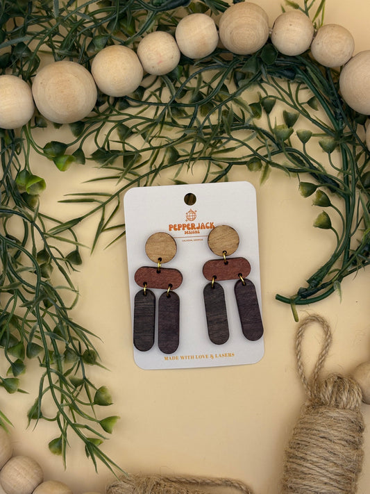 Geometric w/ 2 long ovals Earrings