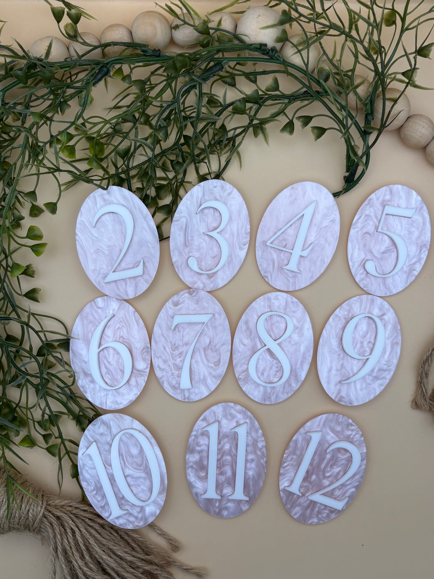 Pink Bow Baby Milestone Monthly Marker Sign Set