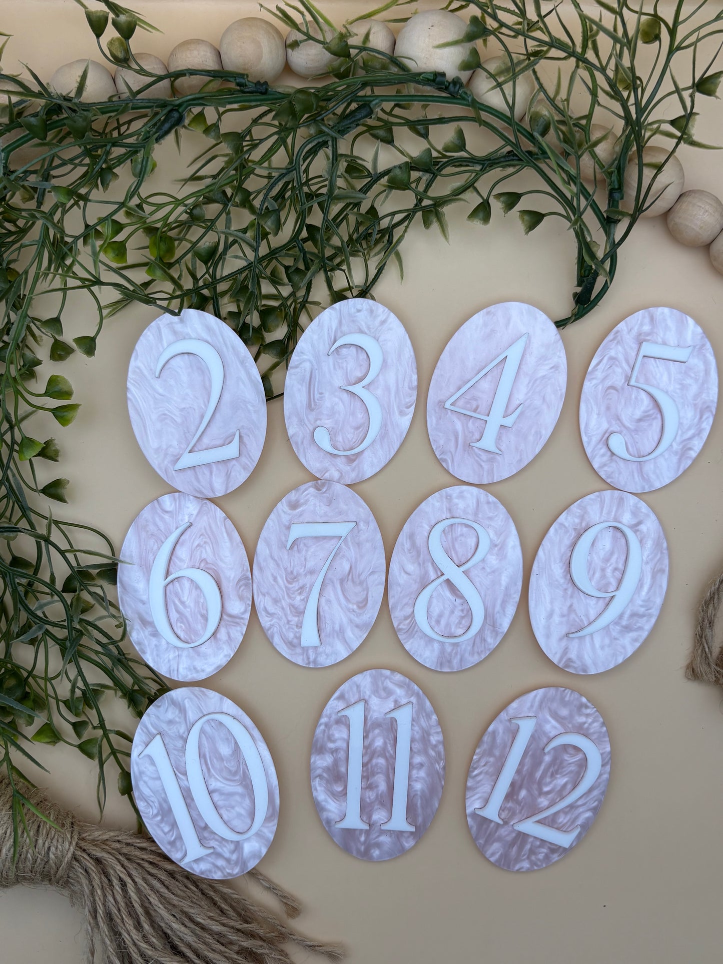 Pink Bow Baby Milestone Monthly Marker Sign Set