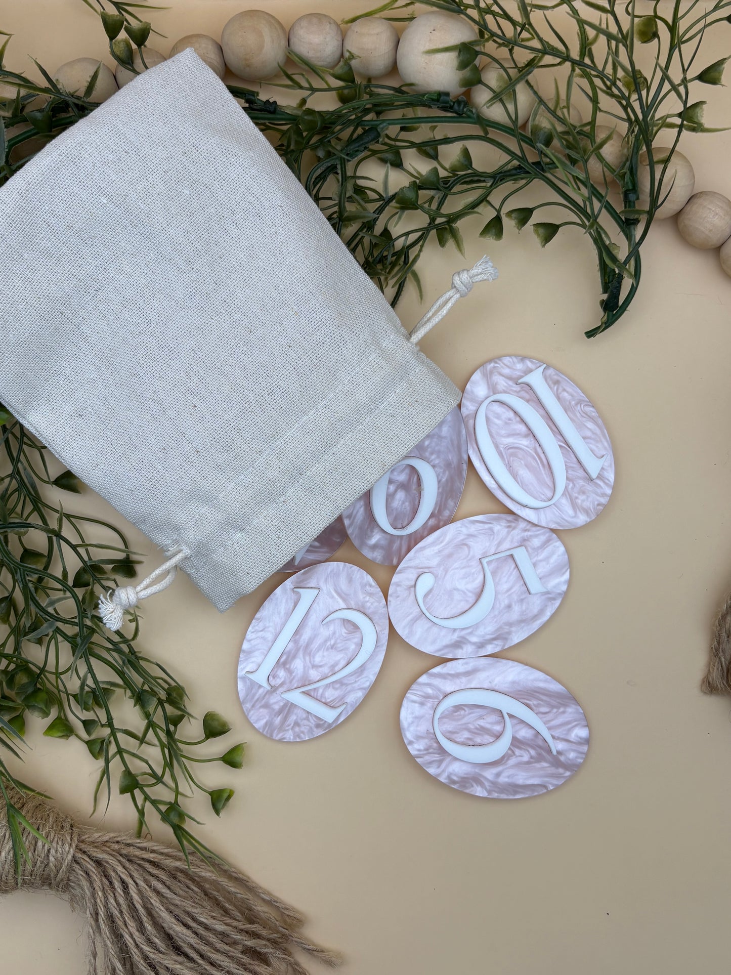 Pink Bow Baby Milestone Monthly Marker Sign Set