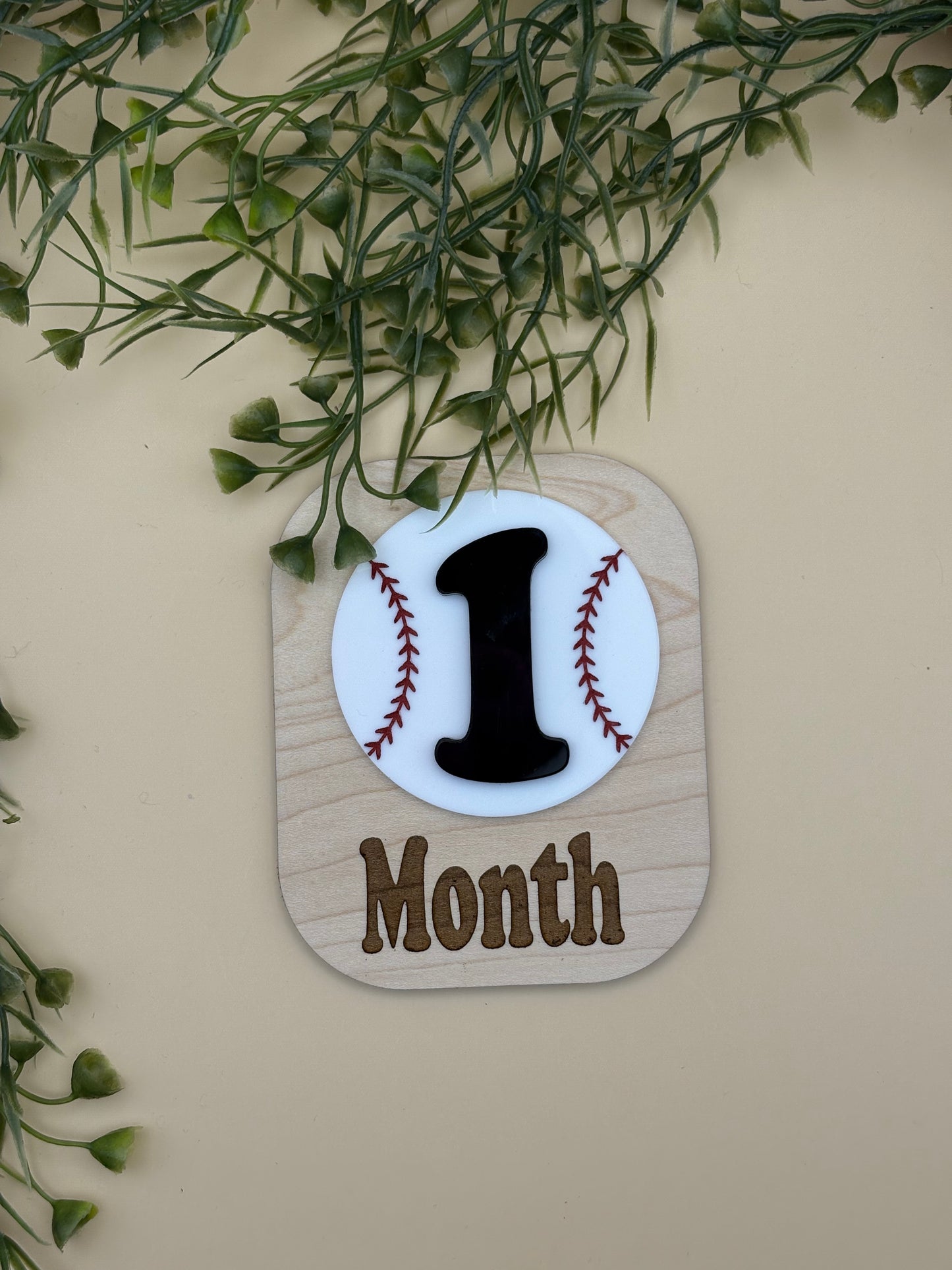 Baseball Baby Monthly Milestone Marker Sign Set