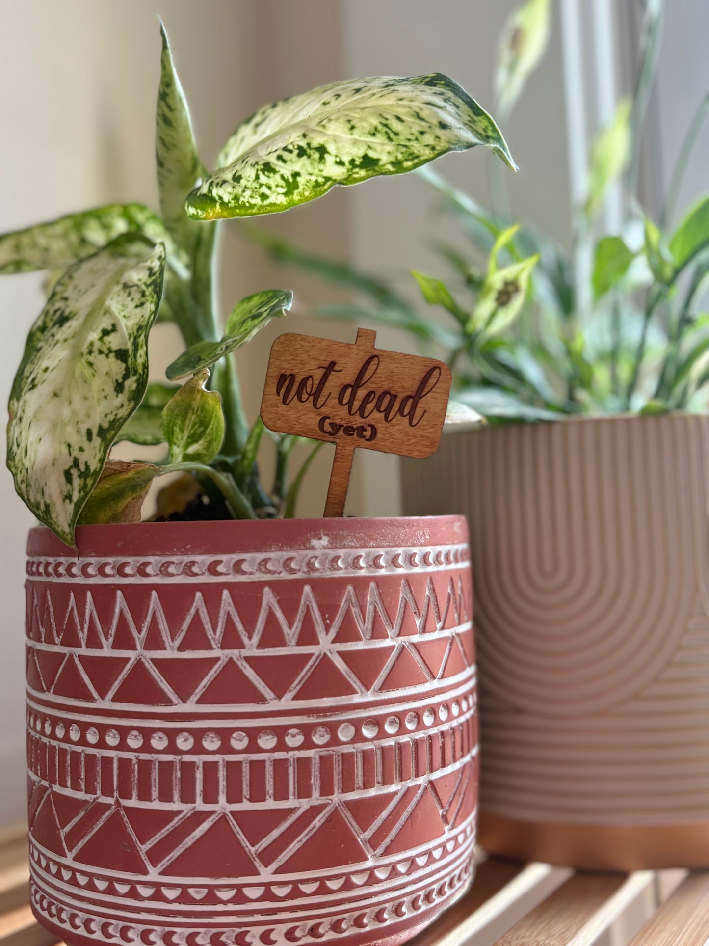 Not Dead (Yet) Plant Stake