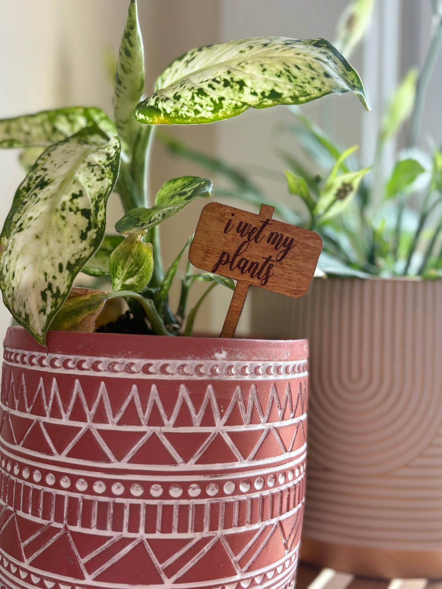 I Wet My Plants Plant Stake